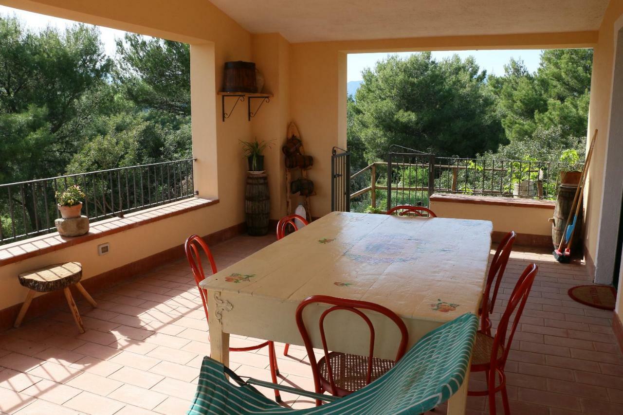 B&B Il Vigneto Trebisacce Extérieur photo